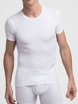 Camiseta M/corta sport canale caballero Ref.A0306 Abanderado