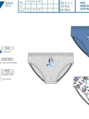 Caja de 3 slips BLUEY Ref.80061 SUN CITY