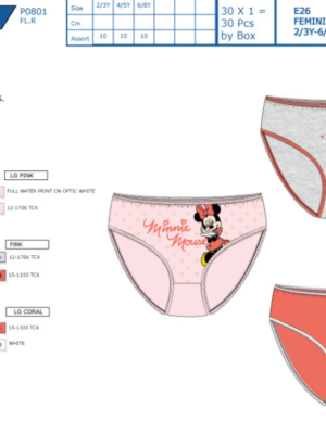 Caja 3 braguitas MINNIE 80073 SUNCITY